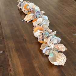 Shells