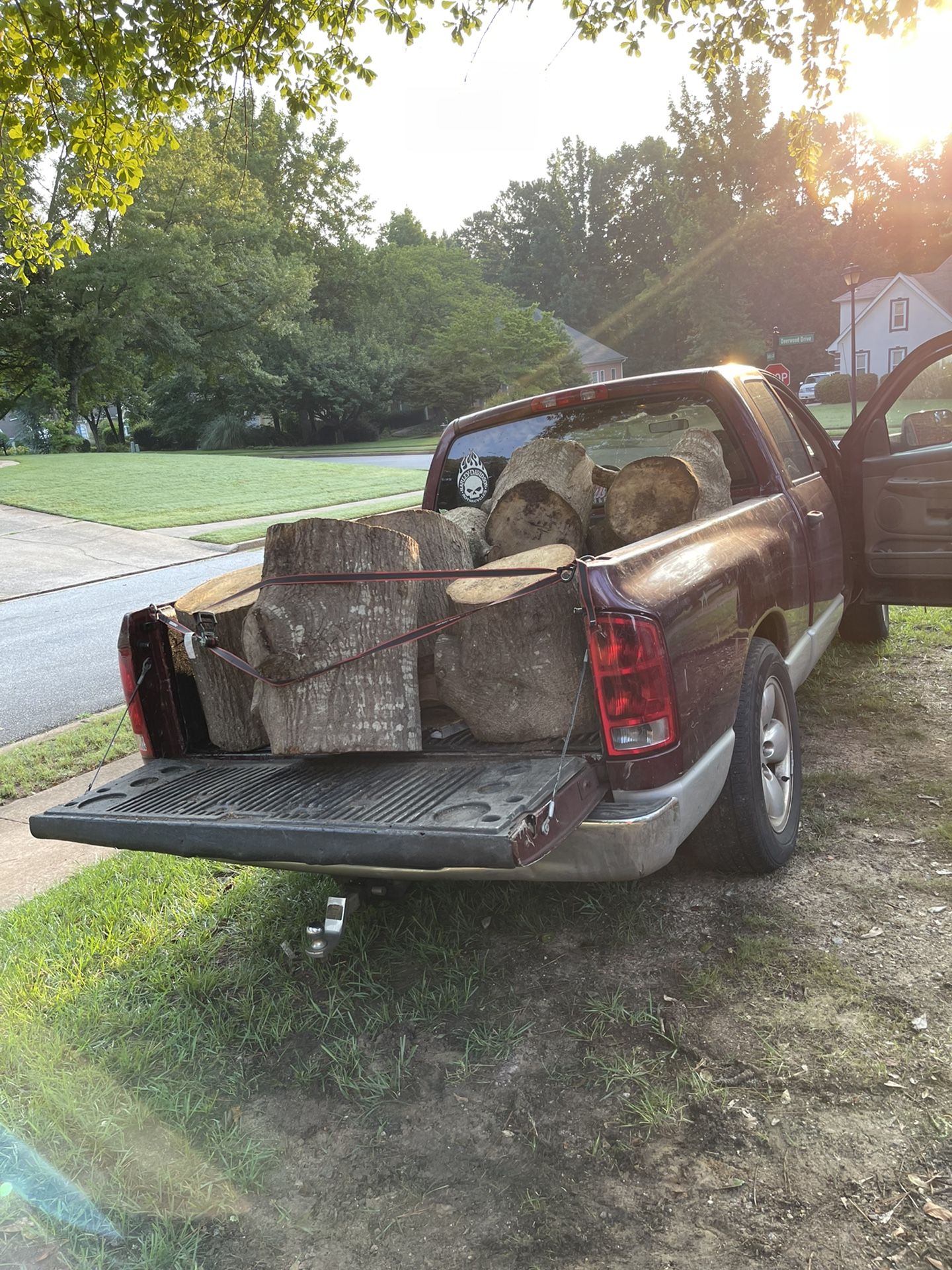 Wood Removals
