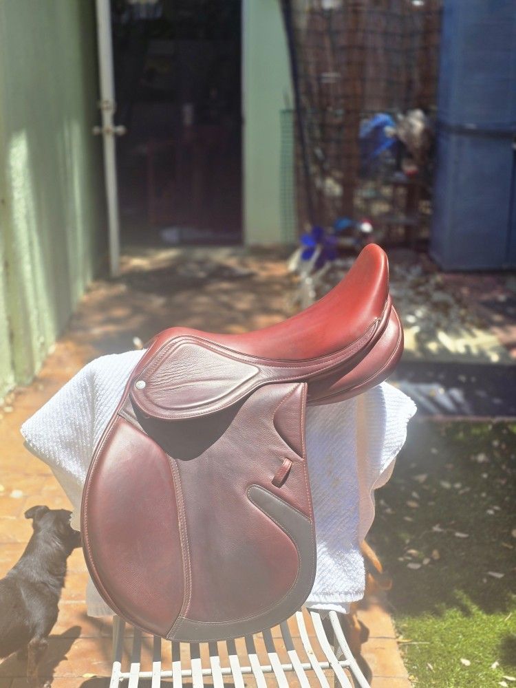 Royal Heritage Merida Jumping Saddle