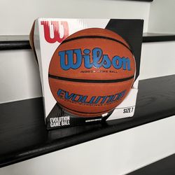 Wilson Evolution Basketball 