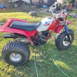 1985 VINTAGE HONDA ATC 200X FULLY REBUILT AND RESTORED NEW WISCO TOP END BORED1 MM OVER WITH TITLE 00 HOURS OR MILES