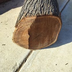 Black Acacia logs , great for wood turning Carving and wood working