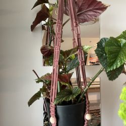 Med Size Macrame Plant Hanger With Beading 