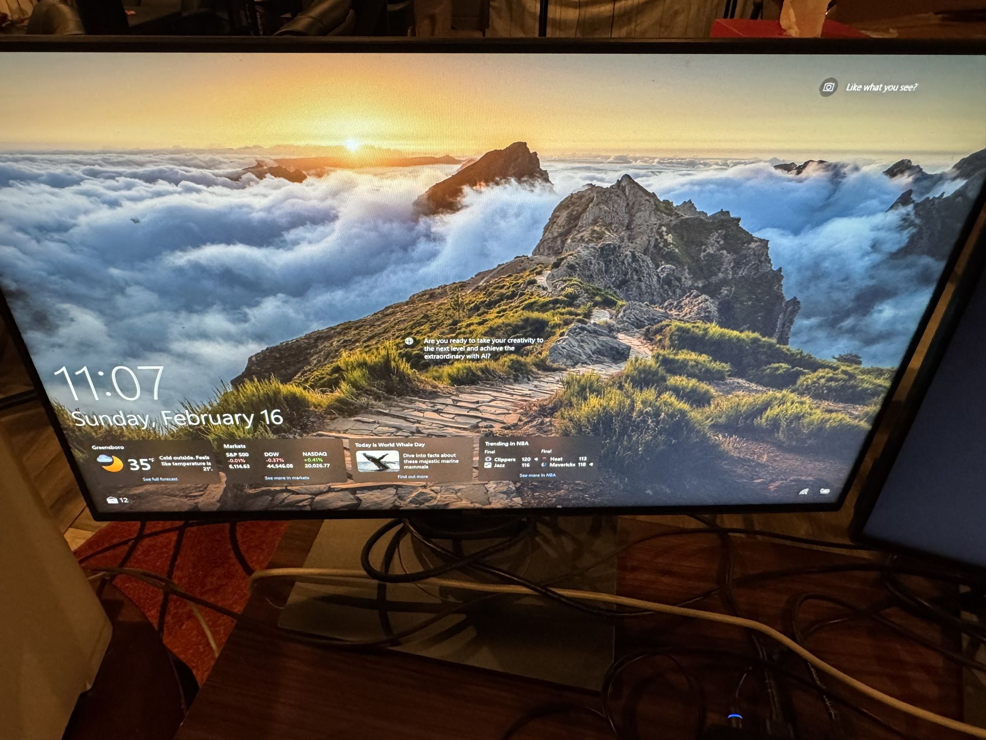 20 Inch Dell monitors