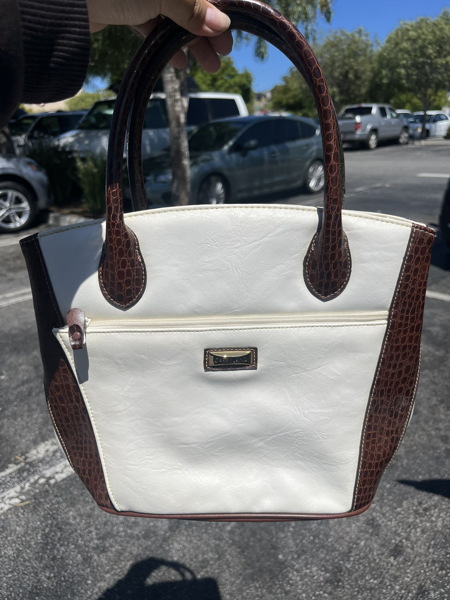 CarryLand Bag