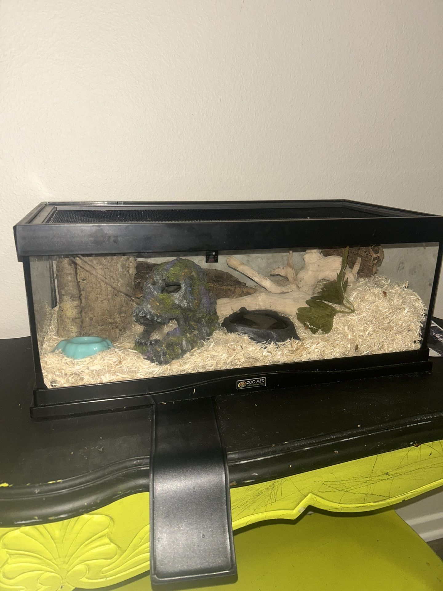 Reptile Terrarium