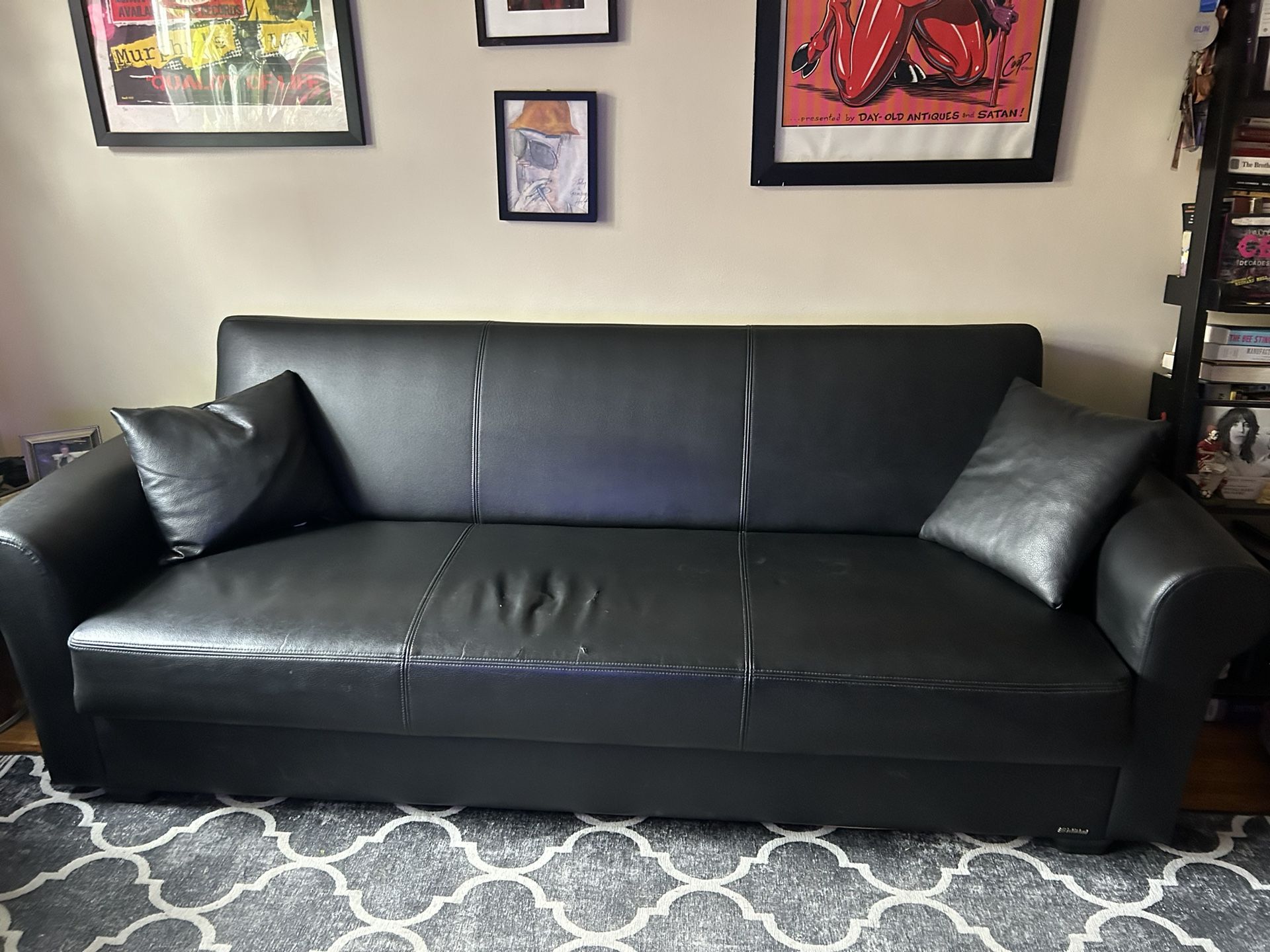 Black Sleeper Sofa