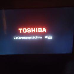 Tv De 55  Pulgadas Y Cámara Para Perros O Gatos  Da Golocimas 