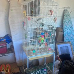 Bird Cage 
