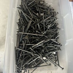 Nails, 16 And 8 Penny Nails