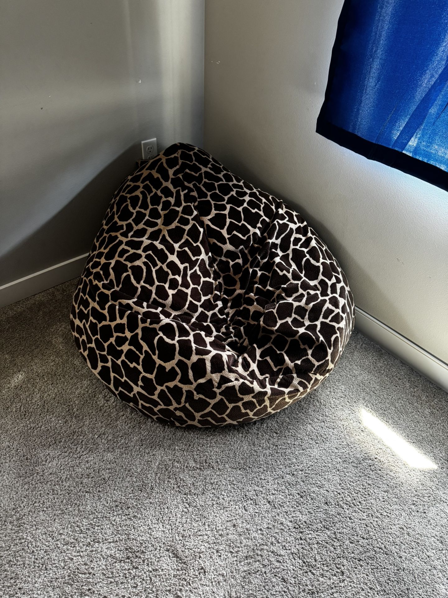Bean Bag chair