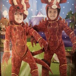 Costco Dinosaur Costume 