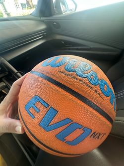 Wilson evo nxt basketball