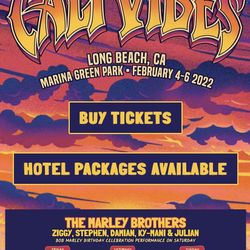 Selling My Sunday VIP Ticket And Sat GA 