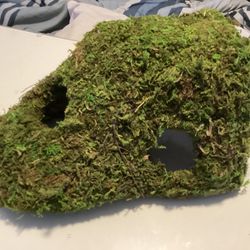 Reptile Moss Cave Brand New