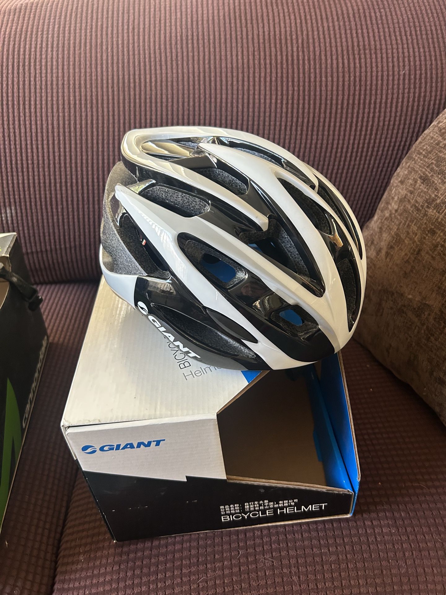 Giant Bike Helmet