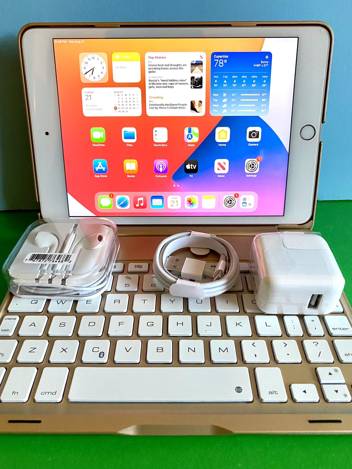 Apple iPad mini 5 (5th Generation/7.9” Retina / latest IOS 15 