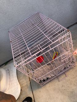 Free pink kennel