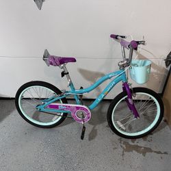 Schwinn Koen & Elm Big Kid Bike 20 Inch Wheels Bicycle