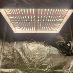 Mars Hydro Tsw2000- 300 Watt LED