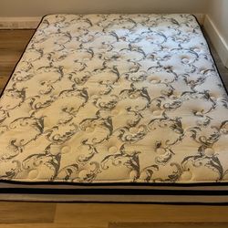 Free queen mattress