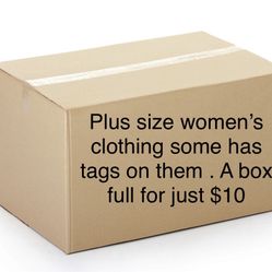 A Box Full Of Women Clothes For $10