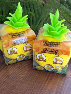 🍍 Sunny Days Pineapple Squishy HTF 🍍