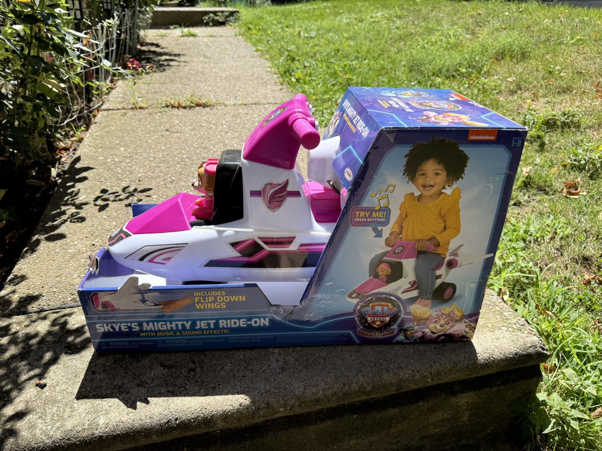 Paw patrol For Toddler