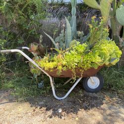 Rustic Wheel Barrel With Plants 