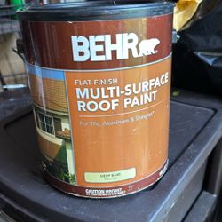 BEHR FLAT FINISH MULTI-SURFACE ROOF PAINT