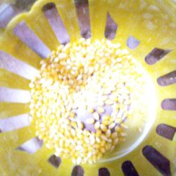 Popcorn Microwave Globe