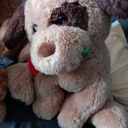 Dog Bear 
