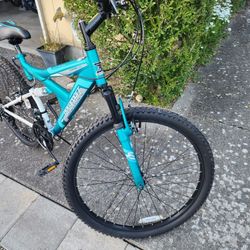 Cliff Runner Bike