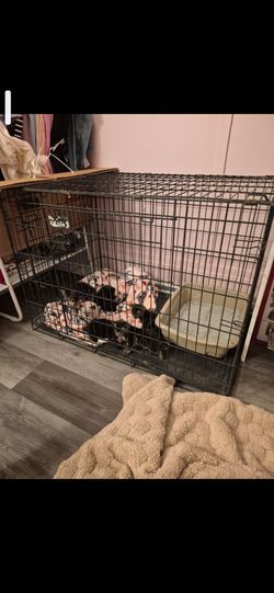Large cage, animal cage,kennel