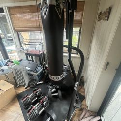 Boxing Bag And Speed Bag Everlast RDX 