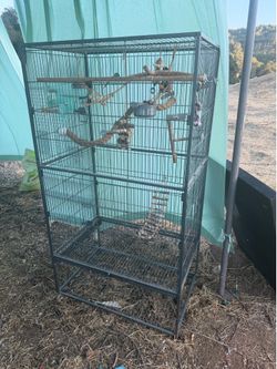 Large Bird Cage