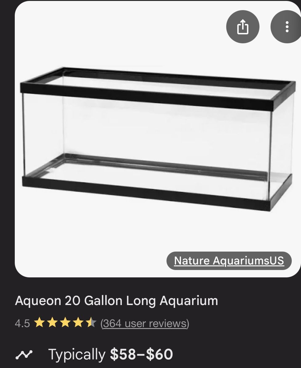 Twenty Gallon Fish/Reptile Tank With Lid