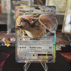 Pidgeot EX - XY - Evolutions (EVO)
