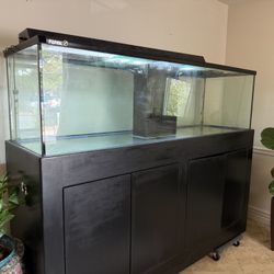 Aquarium
