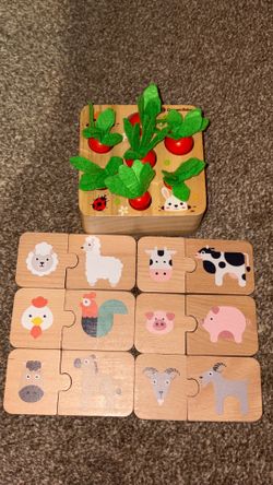 Wooden learning toys
