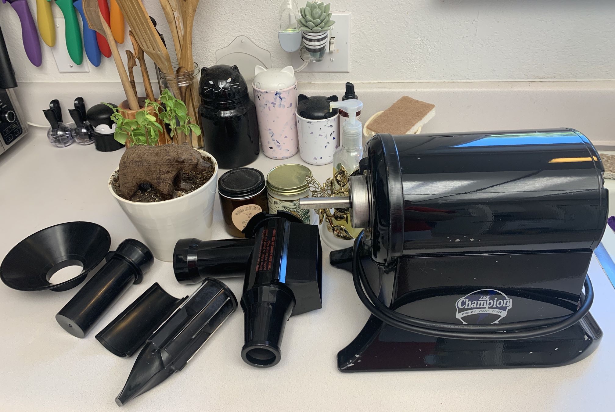 Udfyld Villain udledning Champion Juicer for Sale in Rancho Mirage, CA - OfferUp