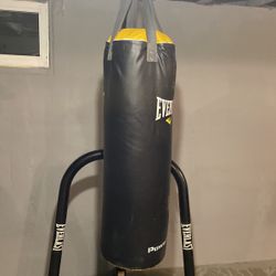 Everlast Punching Bag 