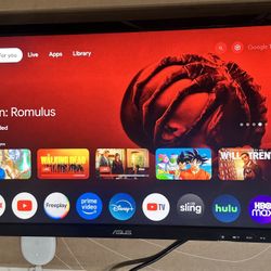 Asus Monitor 