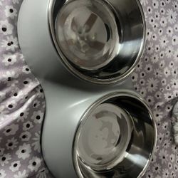 Pet Bowl