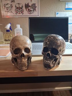 Skull book shelf holders.