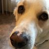 Tim (Tdog)