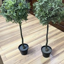 Topiary trees 35”