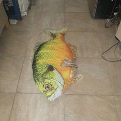 Fish Decoratio
