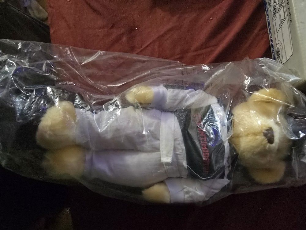 Dale Earnhardt Sr Bear