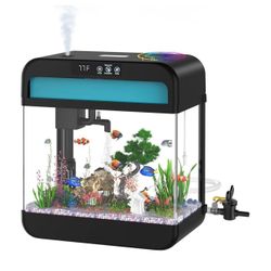 Fish Tank 